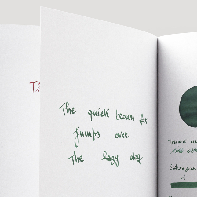 Noodler's Forest Green Inchiostro 3 oz