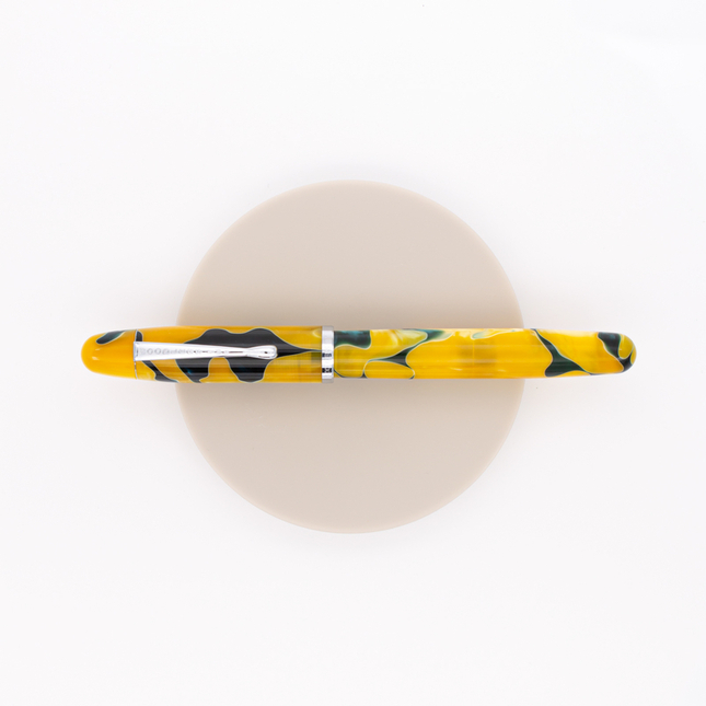 Noodler's Neponset Penna Stilografica Victory Garden Acrilico