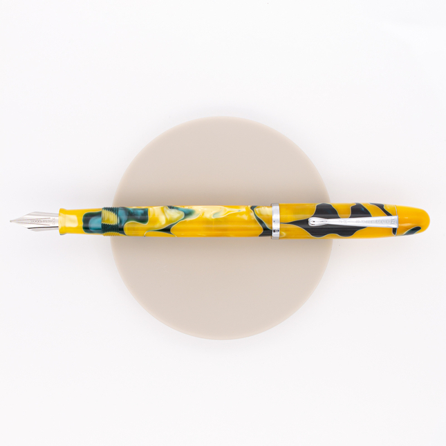 Noodler's Neponset Penna Stilografica Victory Garden Acrilico