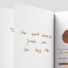 Noodler's Golden Brown Inchiostro 3 oz