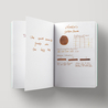 Noodler's Golden Brown Inchiostro 3 oz