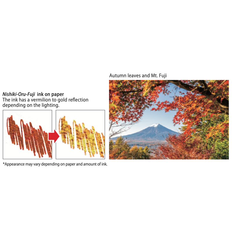 Platinum Platinum 3776 Century Fuji Unkei Penna Stilografica Kinu-Gumo Edizione Limitata