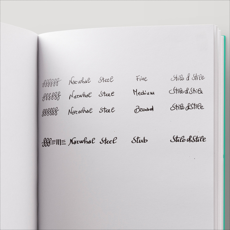 Nahvalur Nahvalur Fathom Penna Stilografica 2025 Pride Edizione Limitata