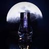 Dominant Industry Ink Dominant Industry Standard The Moon Inchiostro 25 ml