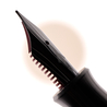 Gravitas Gravitas Pocket Penna Stilografica Pultruded Carbon Fiber Eyedropper