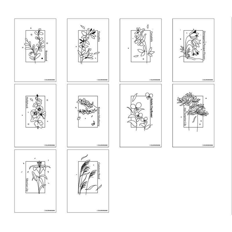 Colorverse Colorverse Ink Art Cards Colorspace Wildflower (Size B)