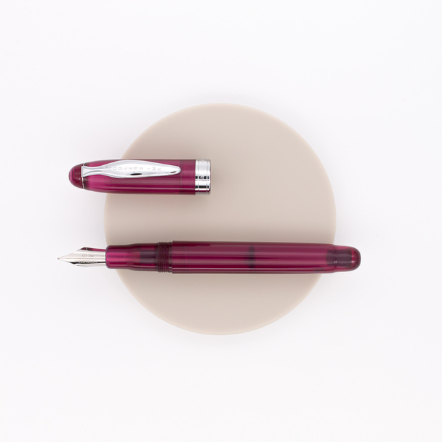Noodler's Ahab Penna Stilografica King Philip Purple