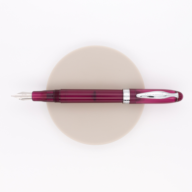 Noodler's Ahab Penna Stilografica King Philip Purple