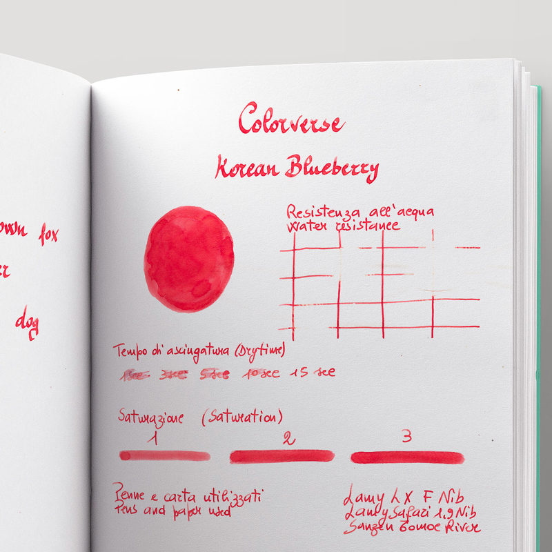 Colorverse Colorverse Project No.069 Korean Blueberry Ink Bottle 15 ml