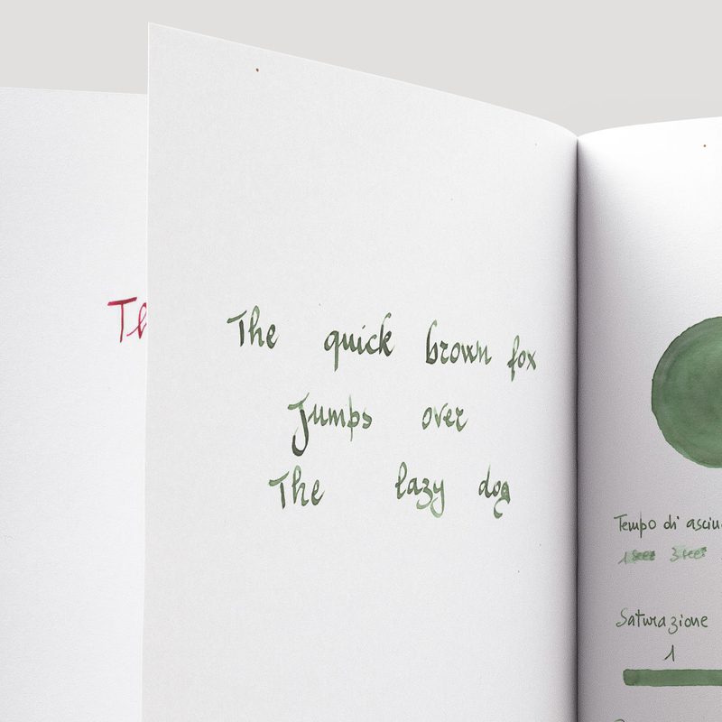 Colorverse Colorverse Project No.064 Boxwood Ink Bottle 15 ml