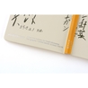 Hobonichi Hobonichi Techo Weeks 2026 Yuichi Inoue: Amenimo Makezu