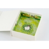 Hobonichi Hobonichi 5 Anni Techo A6 Gift Edition iyo okumi: haconiwa (2026-2030)