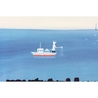 Hobonichi Hobonichi 5-Year Techo Cover Hiroko Kubota: The Sea’s Dream at Dawn A5 Size
