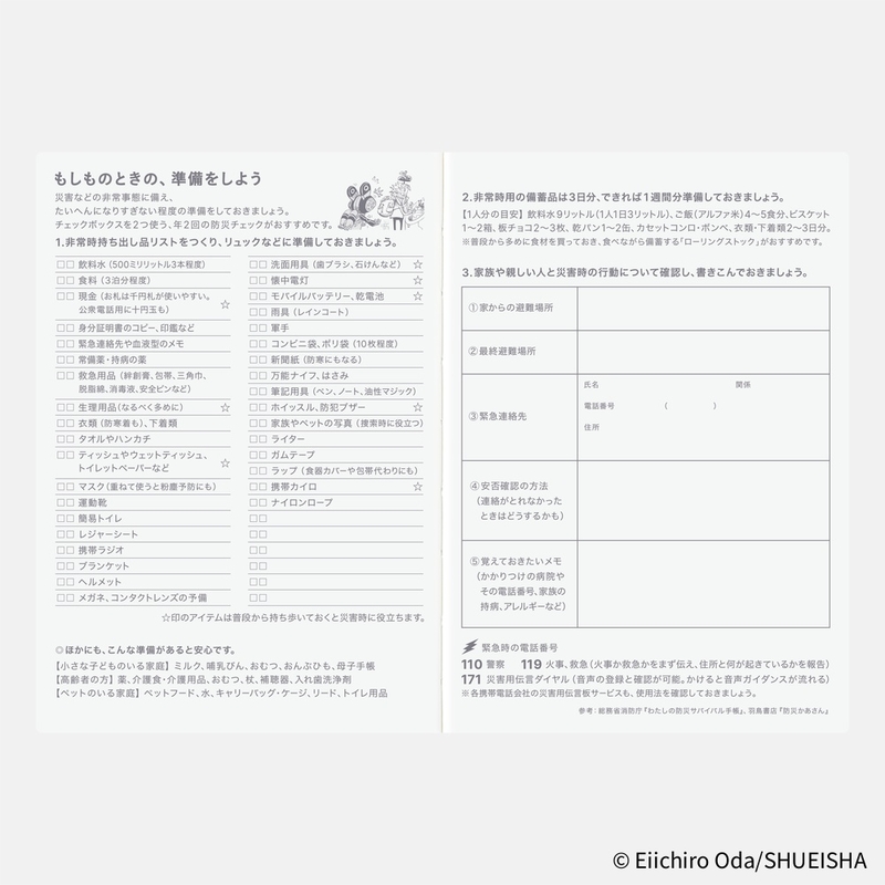 Hobonichi Hobonichi Techo Original Book One Piece Edition 2026 Agenda A6 Giornaliera
