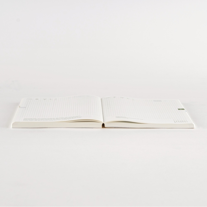 Hobonichi Hobonichi Techo Cousin Book 2026 Agenda A5 Giornaliera