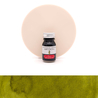 J. Herbin Herbin Vert Cactus Inchiostro 10 ml