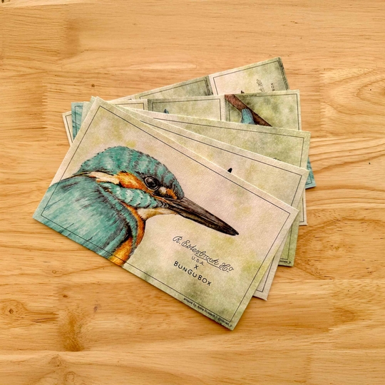 Esterbrook x Bungubox Esterbrook Carta Assorbente Kingfisher