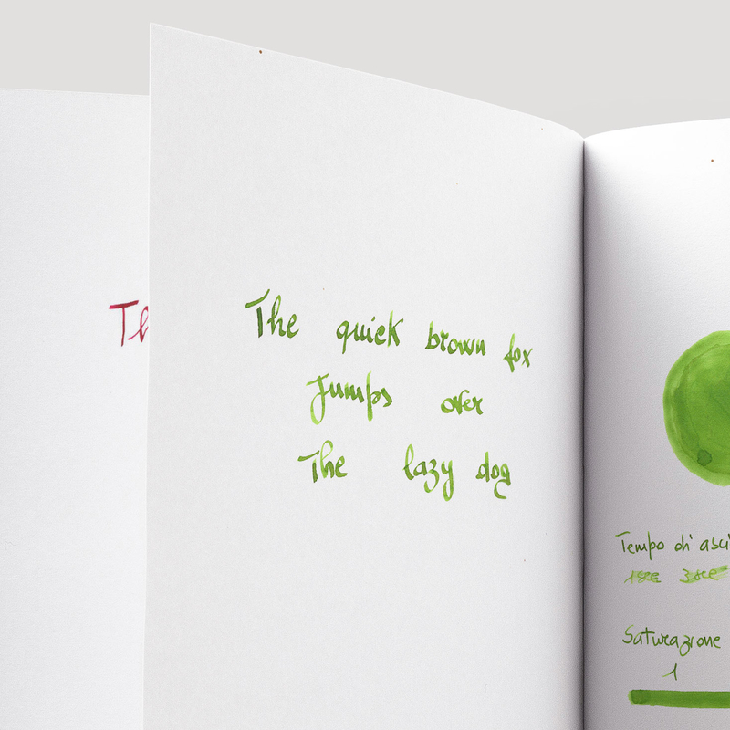 Diamine Diamine Inkvent Pine Needle Inchiostro 50 ml Black Edition Chameleon