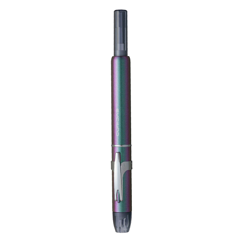 Platinum Platinum Curidas Stone Fountain Pen Labradorite Limited Edition