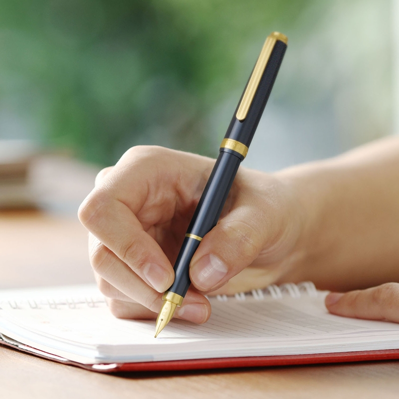 Platinum Platinum Biso Fountain Pen Nebula Black