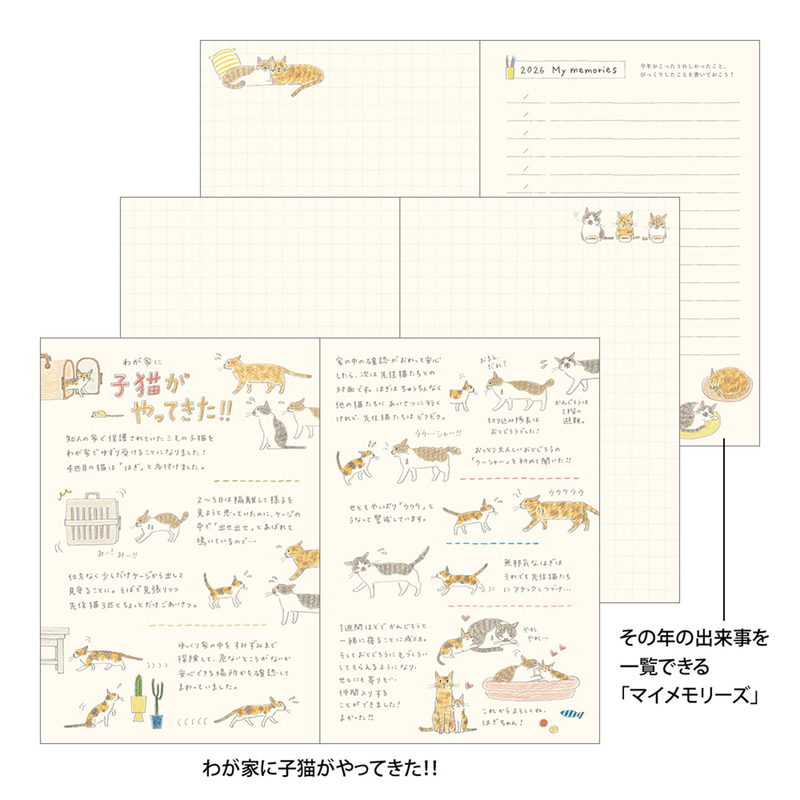 Midori Midori Pocket Diary 2026 B6 Cat
