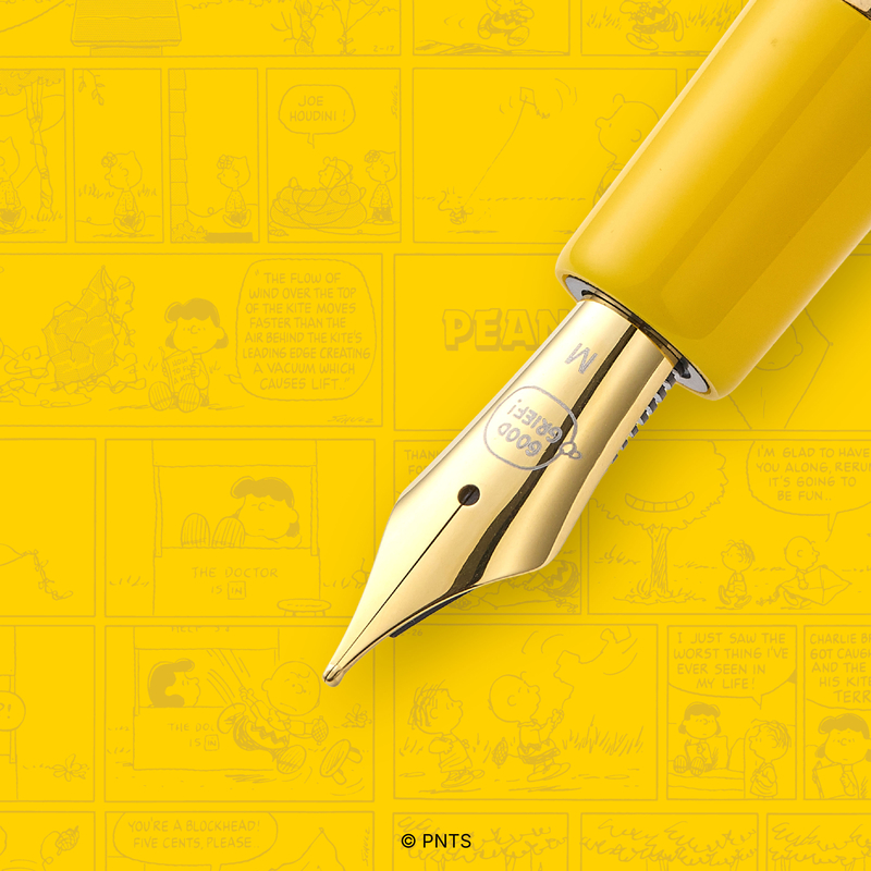 Esterbrook Esterbrook x Peanuts Estie Penna Stilografica Charlie Brown