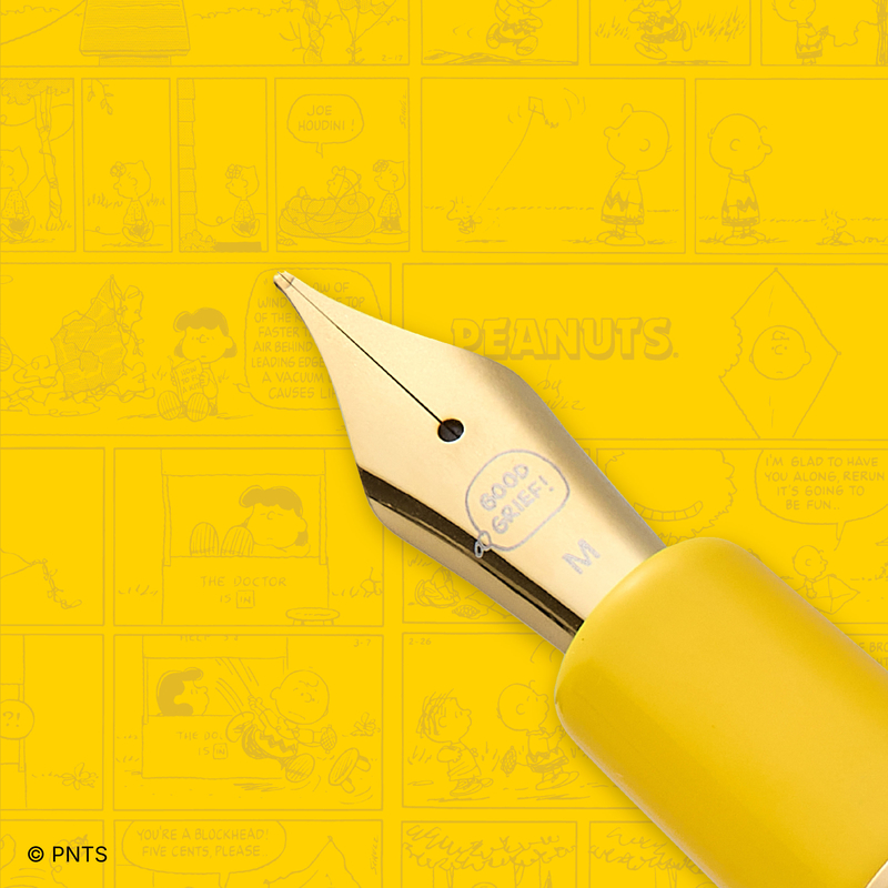 Esterbrook Esterbrook x Peanuts Estie Penna Stilografica Charlie Brown