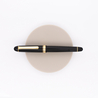 Platinum 3776 Century Penna Stilografica Nera