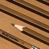 Blackwing Blackwing Volume 21 Matite in Edizione Limitata