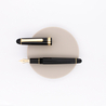 Platinum 3776 Century Penna Stilografica Nera