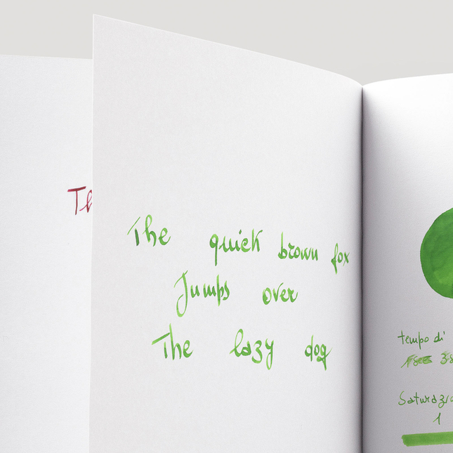 Robert Oster Ryde Green Ink Bottle 50 ml