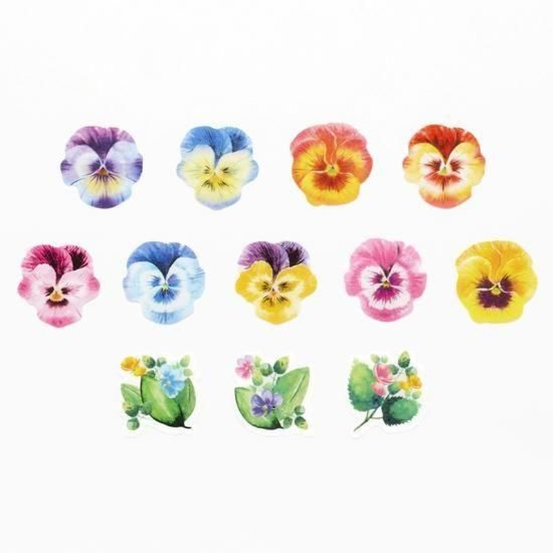 Bande Bande Washi Tape Pansy