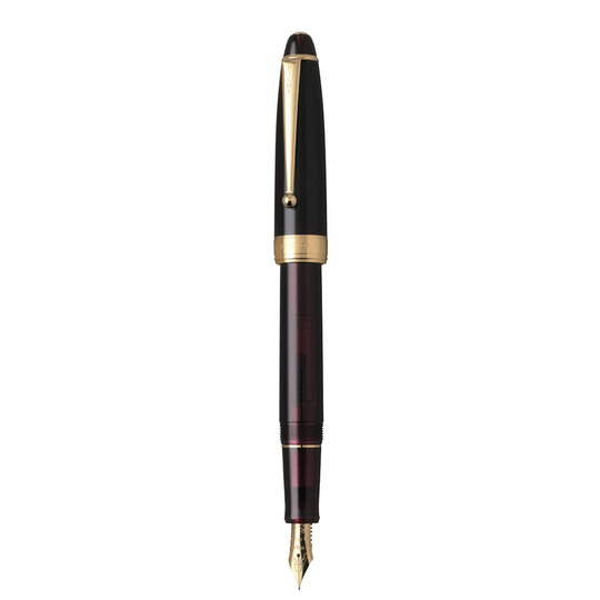 Pilot Custom NS World Voyage Penna Stilografica Ruby Red