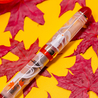 Opus 88 Opus 88 Jazz Fountain Pen Cat Walk Limited Edition