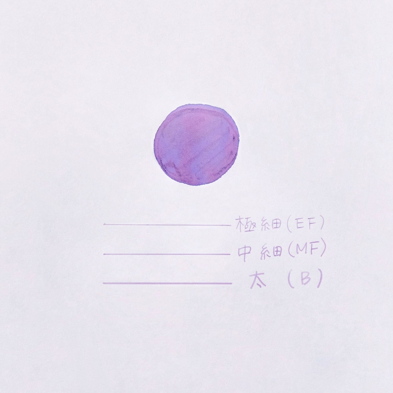 Sailor Sailor x Plus Lecoule Penna Stilografica Yumeyoi Edizione Limitata