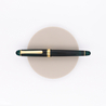Platinum 3776 Century Penna Stilografica Laurel Green