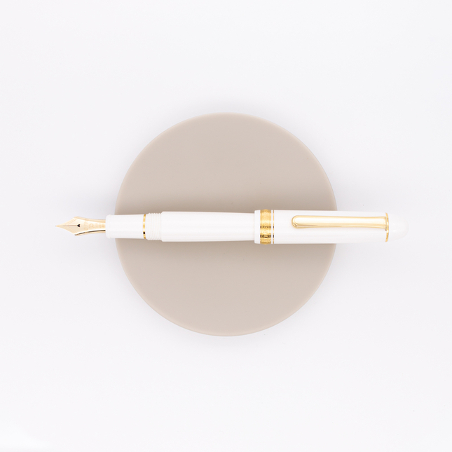 Platinum 3776 Century Penna Stilografica Chenonceau White