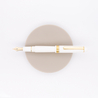 Platinum 3776 Century Penna Stilografica Chenonceau White