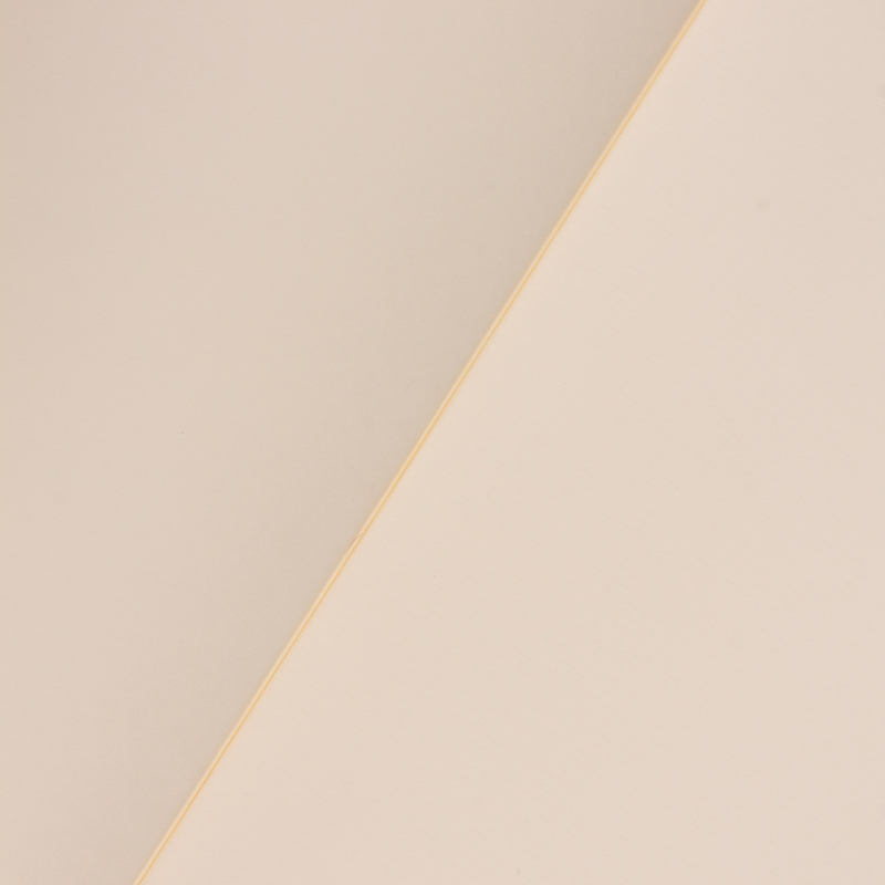 Life Life Noble Notebook A4 Blank