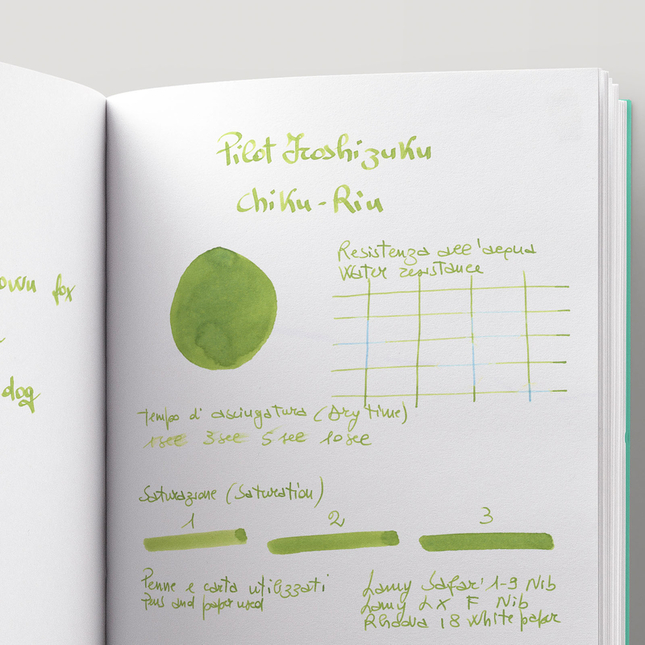 Pilot Iroshizuku Chiku-Rin Inchiostro 15 ml