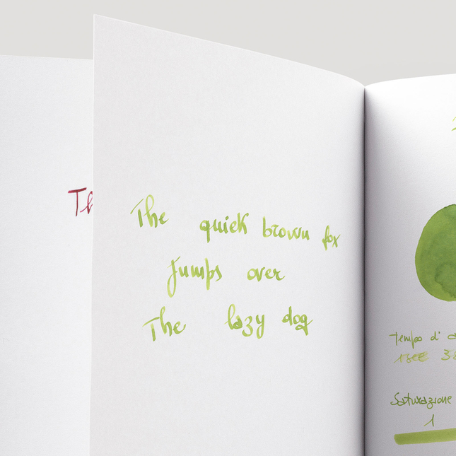 Pilot Iroshizuku Chiku-Rin Inchiostro 15 ml