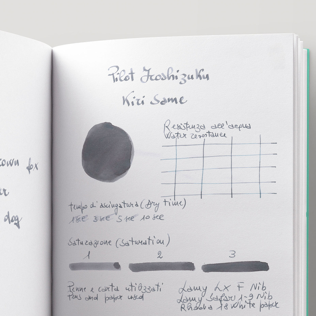 Pilot Iroshizuku Kiri-Same Inchiostro 15 ml