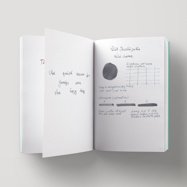 Pilot Iroshizuku Kiri-Same Ink Bottle 15 ml
