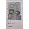 Tono & Lims Tono & Lims Deep Field Laniakea Inchiostro 30 ml
