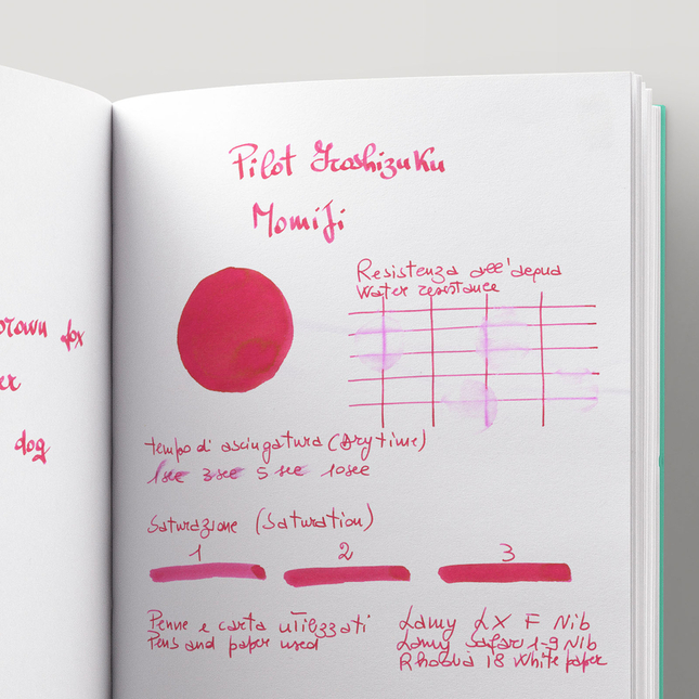 Pilot Iroshizuku Momiji Ink Bottle 15 ml