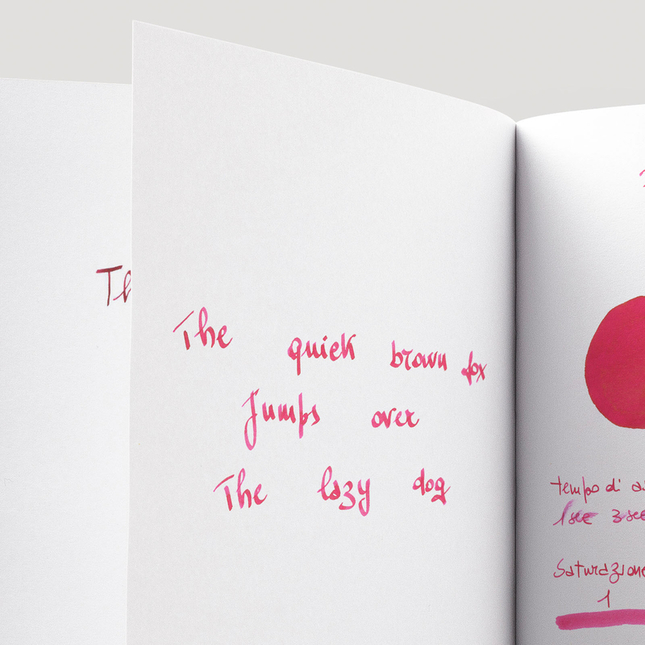 Pilot Iroshizuku Momiji Ink Bottle 15 ml