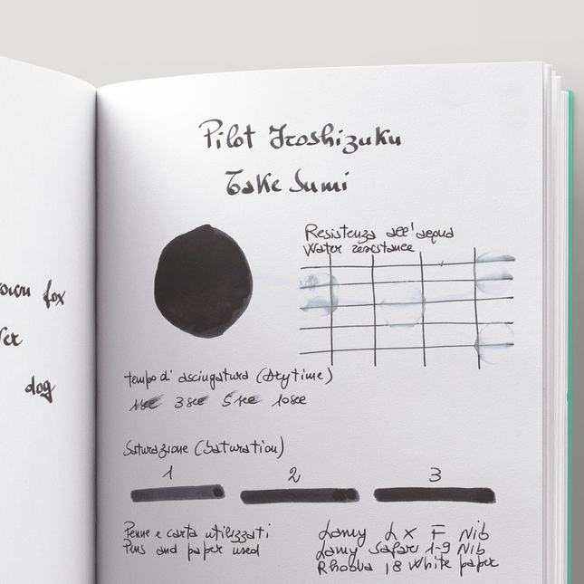 Pilot Iroshizuku Take-Sumi Inchiostro 15 ml