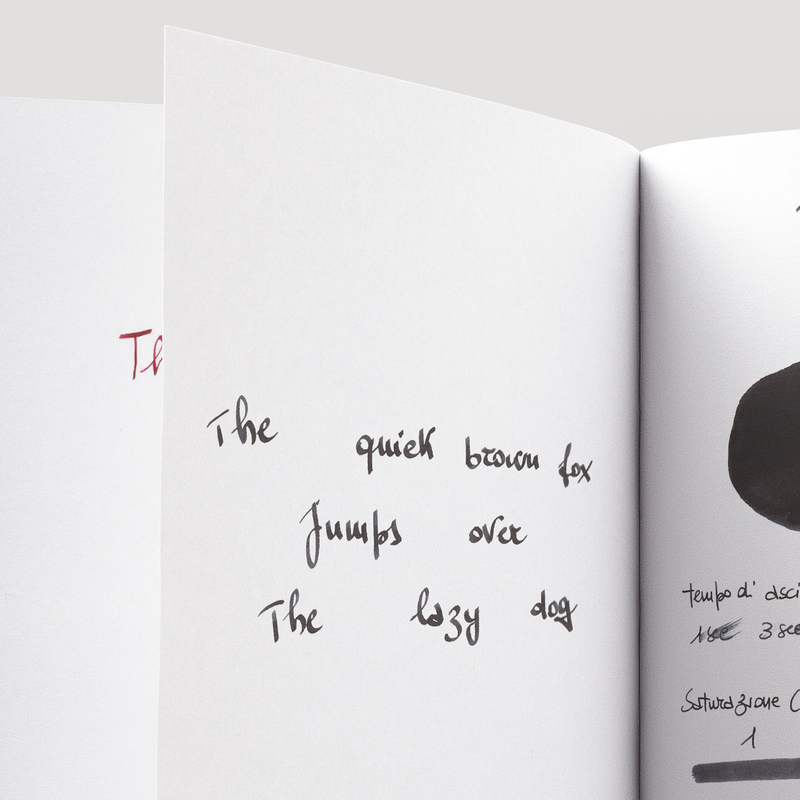 Pilot Iroshizuku Take-Sumi Inchiostro 15 ml