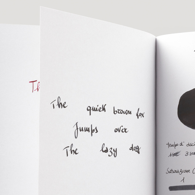 Pilot Iroshizuku Take-Sumi Inchiostro 15 ml