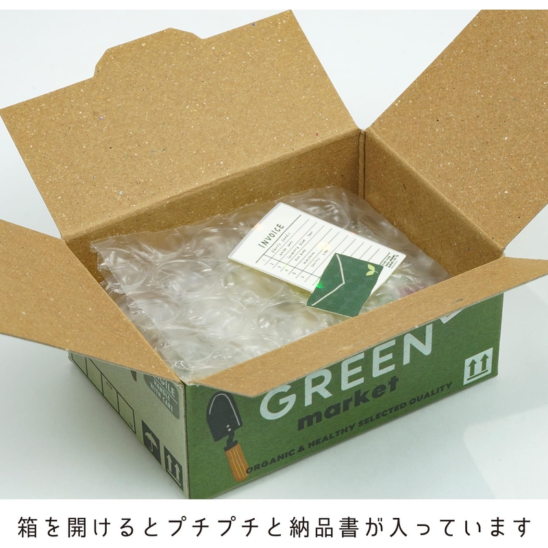 Greeting Life Greeting Life Hako Sticker Houseplants